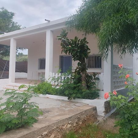 Casa Campo Con Piscina Y Barbacoa Para 6 Personas En Plena Naturaleza Picassent Kültér fotó