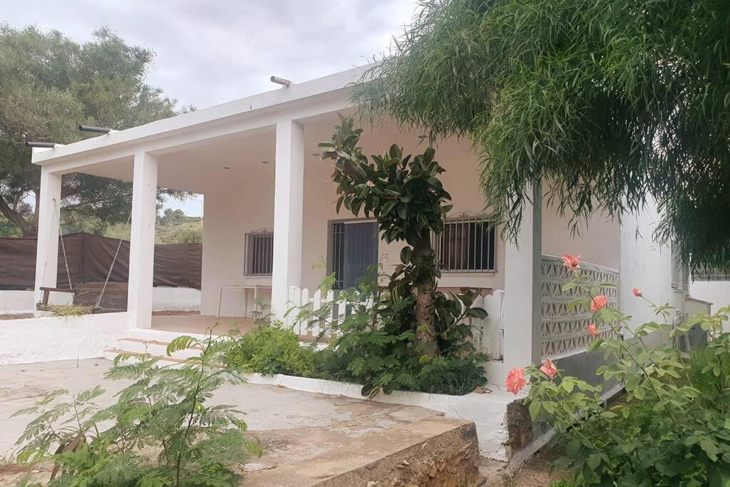 Casa Campo Con Piscina Y Barbacoa Para 6 Personas En Plena Naturaleza Picassent Kültér fotó