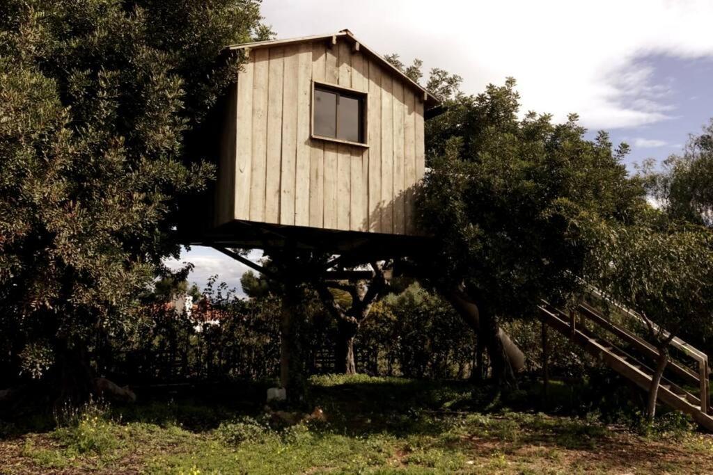 Casa Campo Con Piscina Y Barbacoa Para 6 Personas En Plena Naturaleza Picassent Kültér fotó