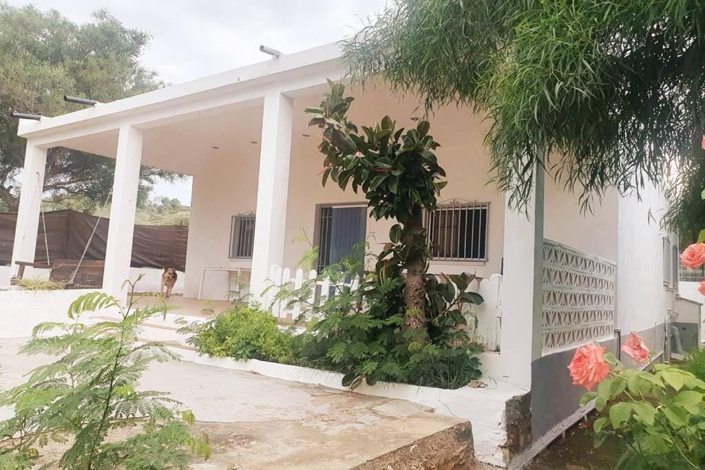 Casa Campo Con Piscina Y Barbacoa Para 6 Personas En Plena Naturaleza Picassent Kültér fotó