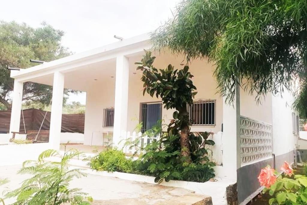 Casa Campo Con Piscina Y Barbacoa Para 6 Personas En Plena Naturaleza Picassent Kültér fotó